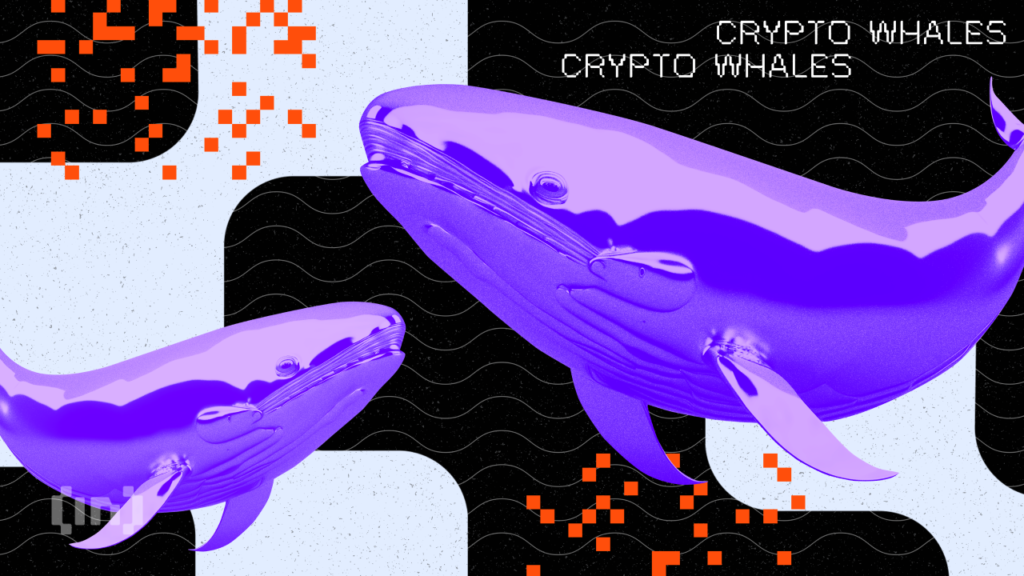Whales Wager Astronomical on Ripple, Fetch 360 Million XRP