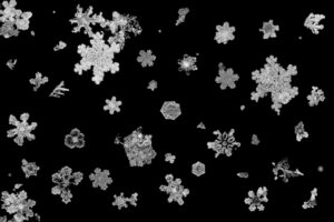 Look reveals the queer mathematics of snowflakes