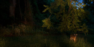 Sharpshooters and Clandestine Ops…