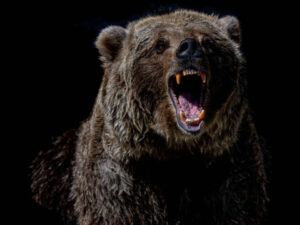 Bitcoin ETFs: The Endure Case