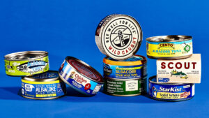 The Fully Canned Tuna: A Blind Model Test