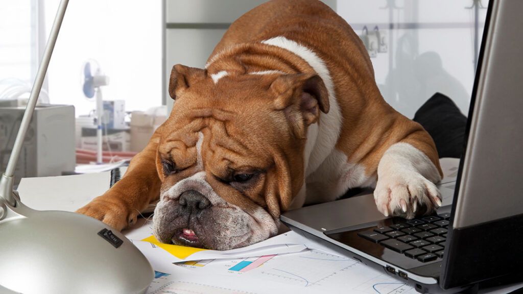 3 Key Metrics That Employee Engagement Surveys Pass over