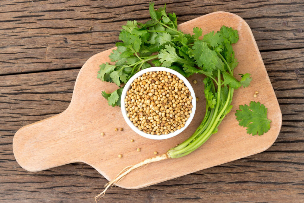 Coriander vs. Cilantro: What’s the Distinction?