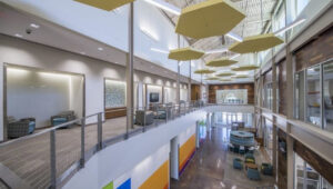 Hill & Wilkinson names novel CEO in executive journey