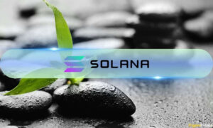 Solana Marks Consistent Convey in Developer Ecosystem: Data