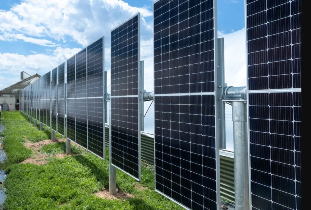 Solar fences stand out in Australian market simulation