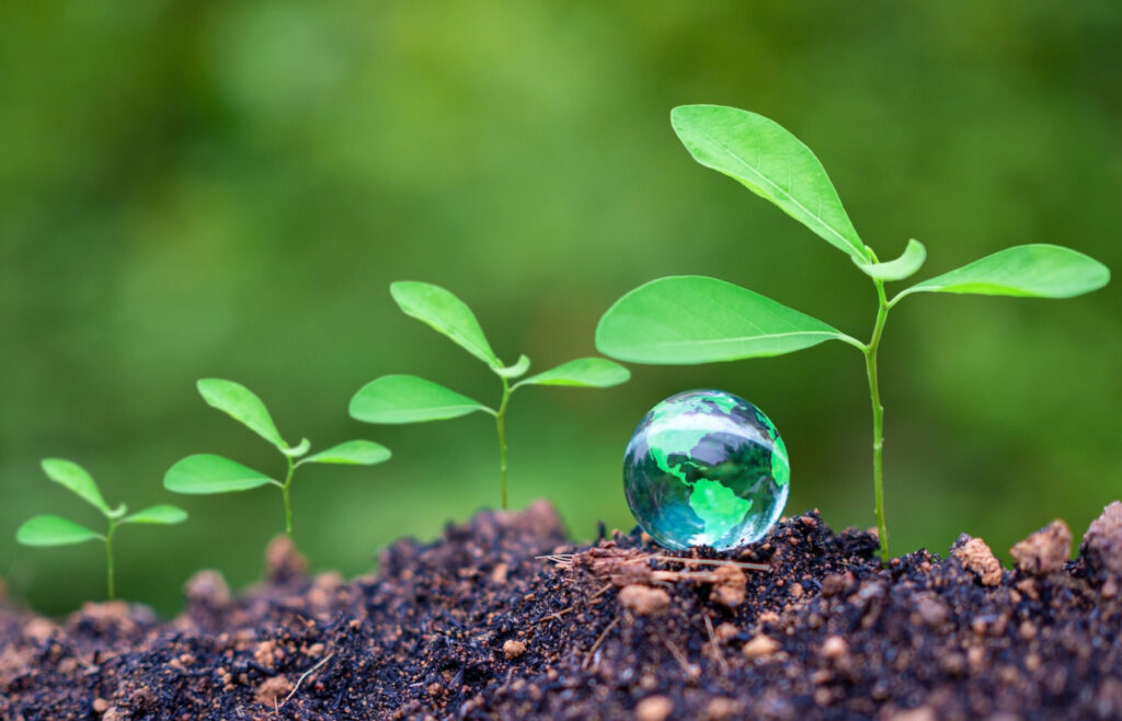4 fundamental steps to embed sustainability into your organization