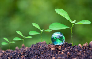 4 fundamental steps to embed sustainability into your organization