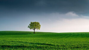 Greater designed websites can also cut carbon footprint