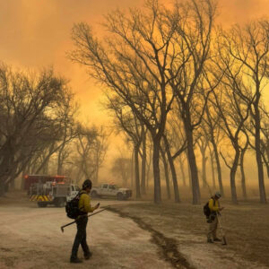 Texas Panhandle Wildfires Unfold Across 850,000 Acres, Prompting Evacuations