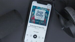 AIMP Assertion on Spotify’s Song & Audiobook Bundling