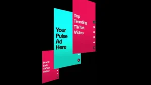 TikTok Publicizes Expanded Top class Ad Placement Choices