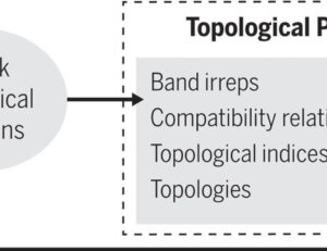 Catalog of topological phonon materials | Science