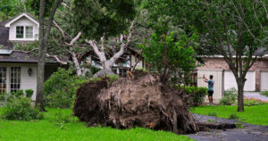 7 ineffective in Houston residence after storms, 100