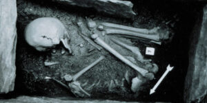 Egalitarian oddity describe in the Neolithic