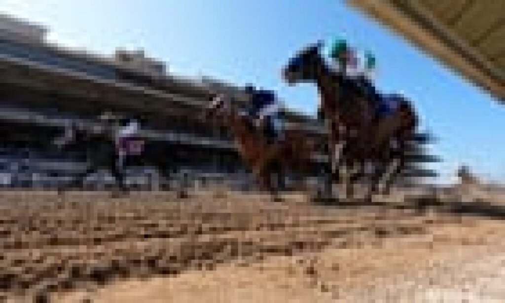Breeders’ Cup horse racing 2024: day two – reside