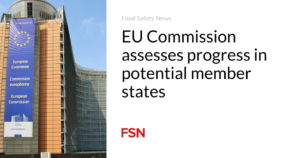 EU Fee assesses development in skill member states