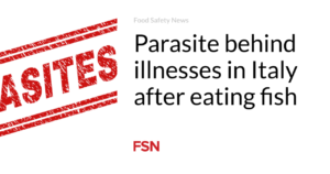 Parasite late illnesses in Italy after eating fish