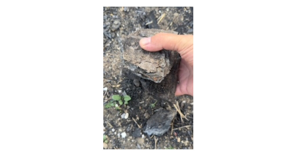 Q-GEMSF Coal Deposit Acquisition