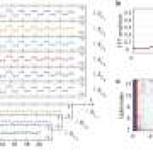 Implementing topologically ordered time crystals on quantum processors