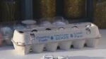 Buckeye farms selling affordable fresh eggs